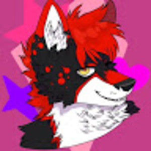 Meet your Posher, Everettthe